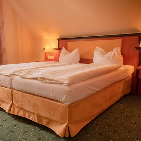 Alte Landratsvilla Bender فندق 3*