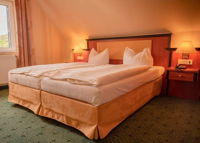 Alte Landratsvilla Bender 호텔 3*